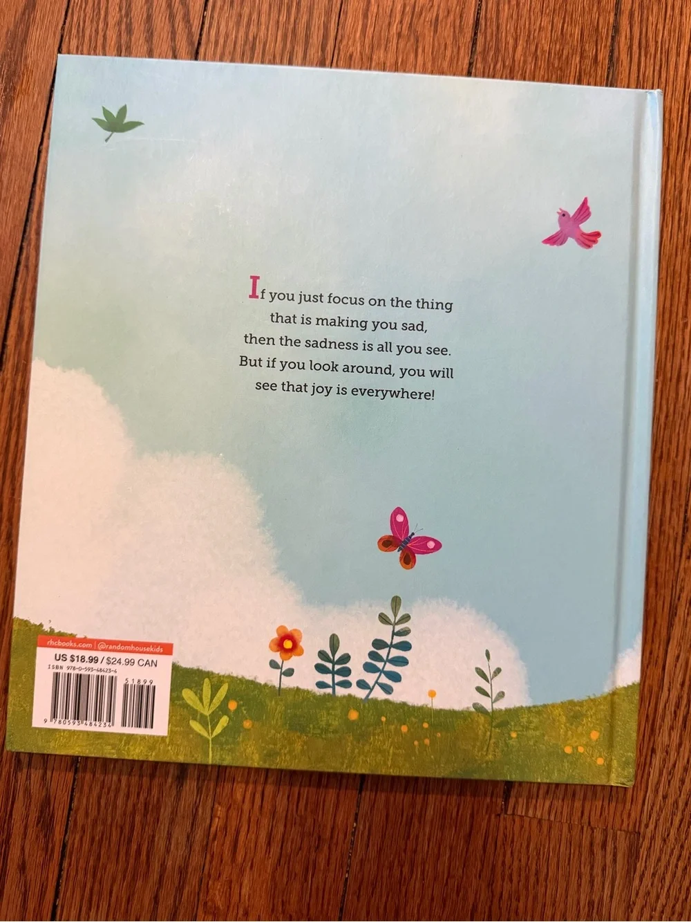 The Little Book of Joy - Kids Hardcover Book Dalai Lama & Desmond Tutu NEW